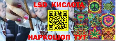 шишки Коммунар